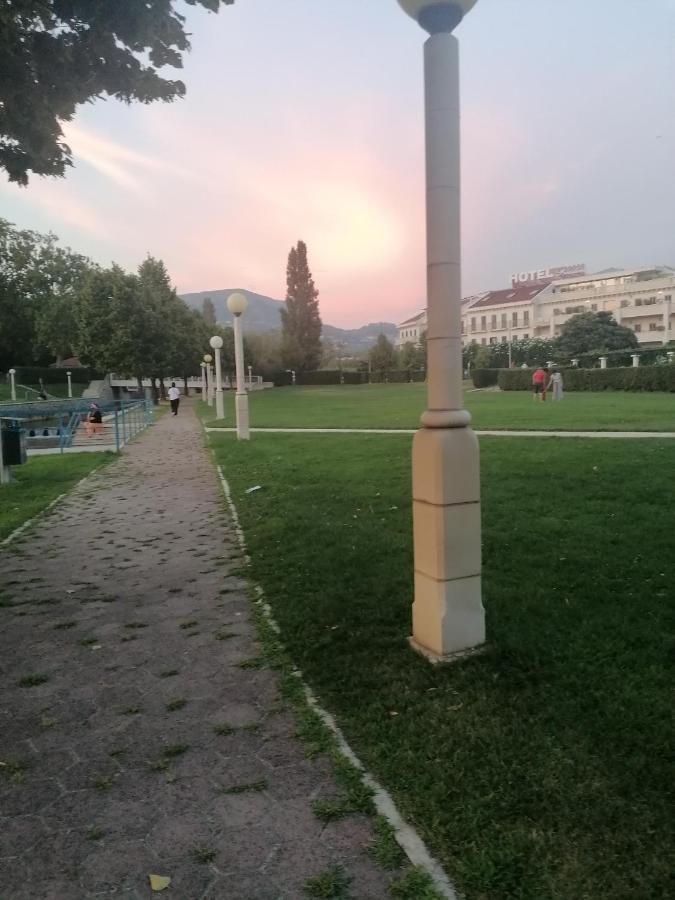 Апартаменты Salona Croatia Экстерьер фото